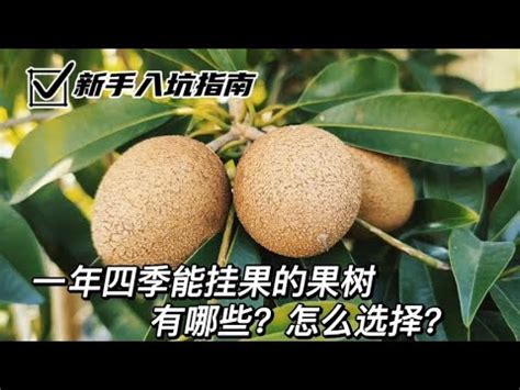 北部適合種什麼水果|北部適合種什麼水果 :: 農作物專家